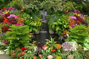giardino tropicale