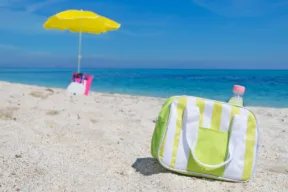 borsa frigo
