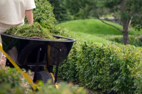 una persona pulisce il giardino