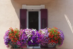 balcone fiorito