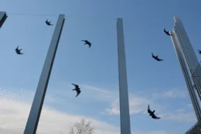 Perché sui vetri dell'autostrada ci sono le sagome degli uccelli?