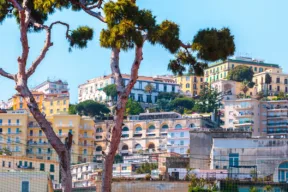 Quanti alberi ci sono a Napoli?