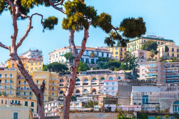Quanti alberi ci sono a Napoli?
