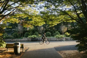 Quanti alberi servono per raffreddare le città? 