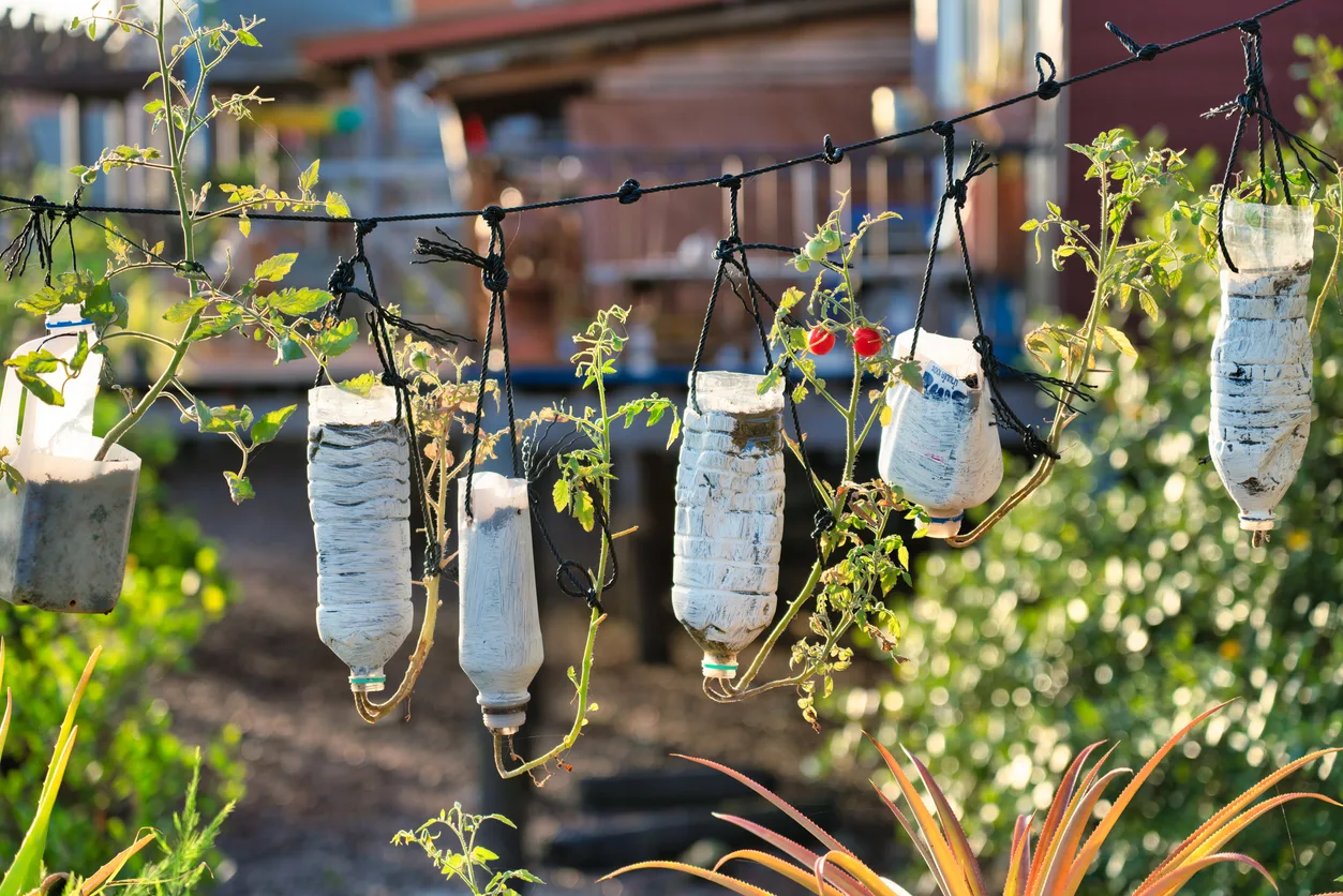 Cos'è l'upcycling e come farlo in casa upcycling bottiglie jpg