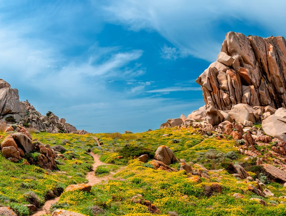 valle della luna jpeg