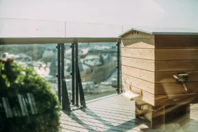arnie su terrazzo di condominio