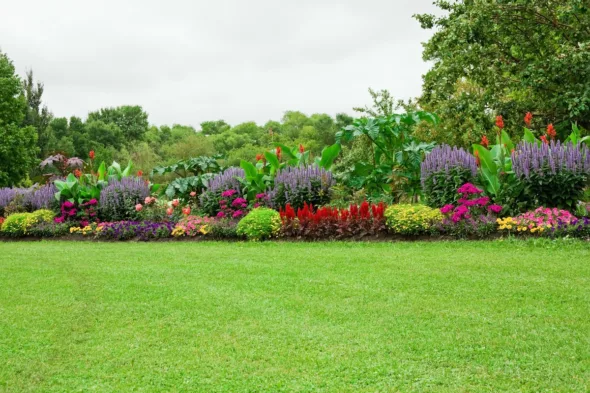 giardino