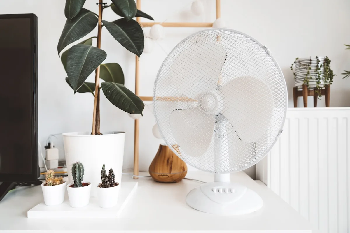 ventilatore jpg