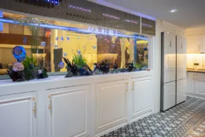 grande acquario in cucina