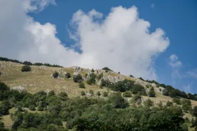 Parco nazionale del Matese