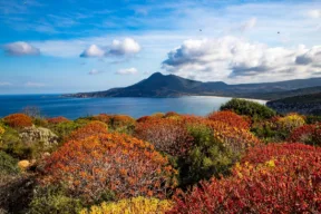 Cosa fare e cosa vedere in autunno in Sardegna