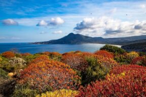 Cosa fare e cosa vedere in autunno in Sardegna