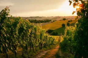 Cosa fare e cosa vedere in autunno nelle Marche