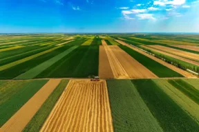 campi agrari