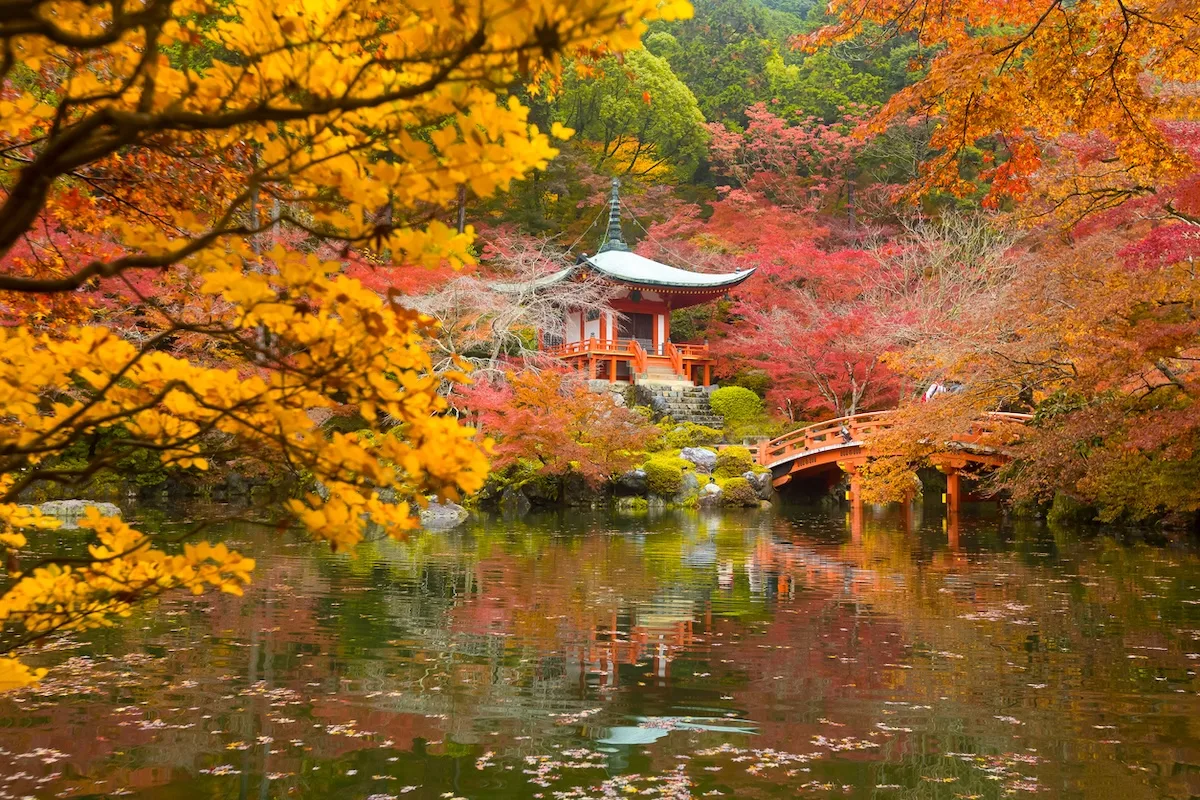 Kyoto jpg