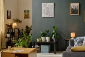 La luce artificiale fa bene o male alle piante?