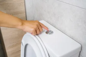 sciacquone