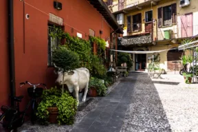 Cosa si intende per 