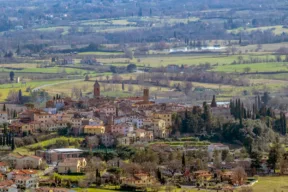 castiglion fibocchi