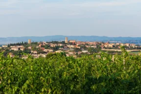 torgiano